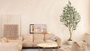 How to choose the size of Faux Olive Trees?