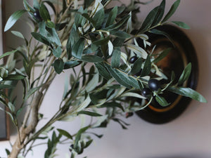 How to Make Your Olive Tree More Realistic with 5 Tips