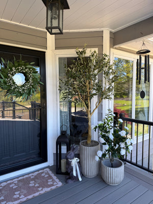 Your patio olive tree is looking pale? Here's why—and how to keep it green all summer