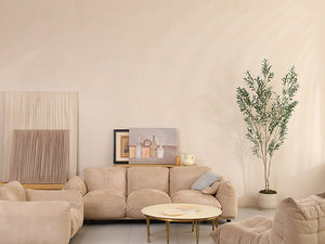 Embrace Fall with Olive Trees