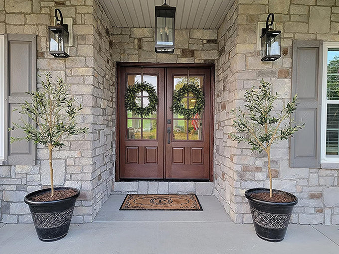 Use Large Olive Trees to Decorate Porches and Entryways
