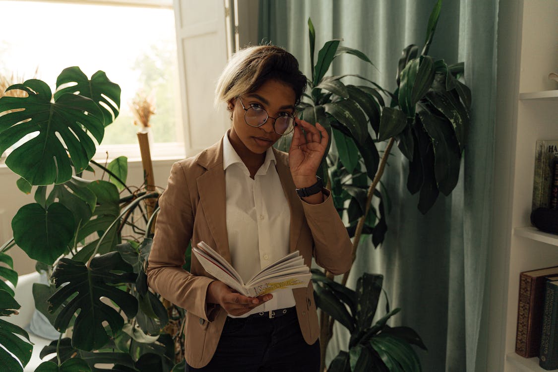 Artificial Plant Selection Guide