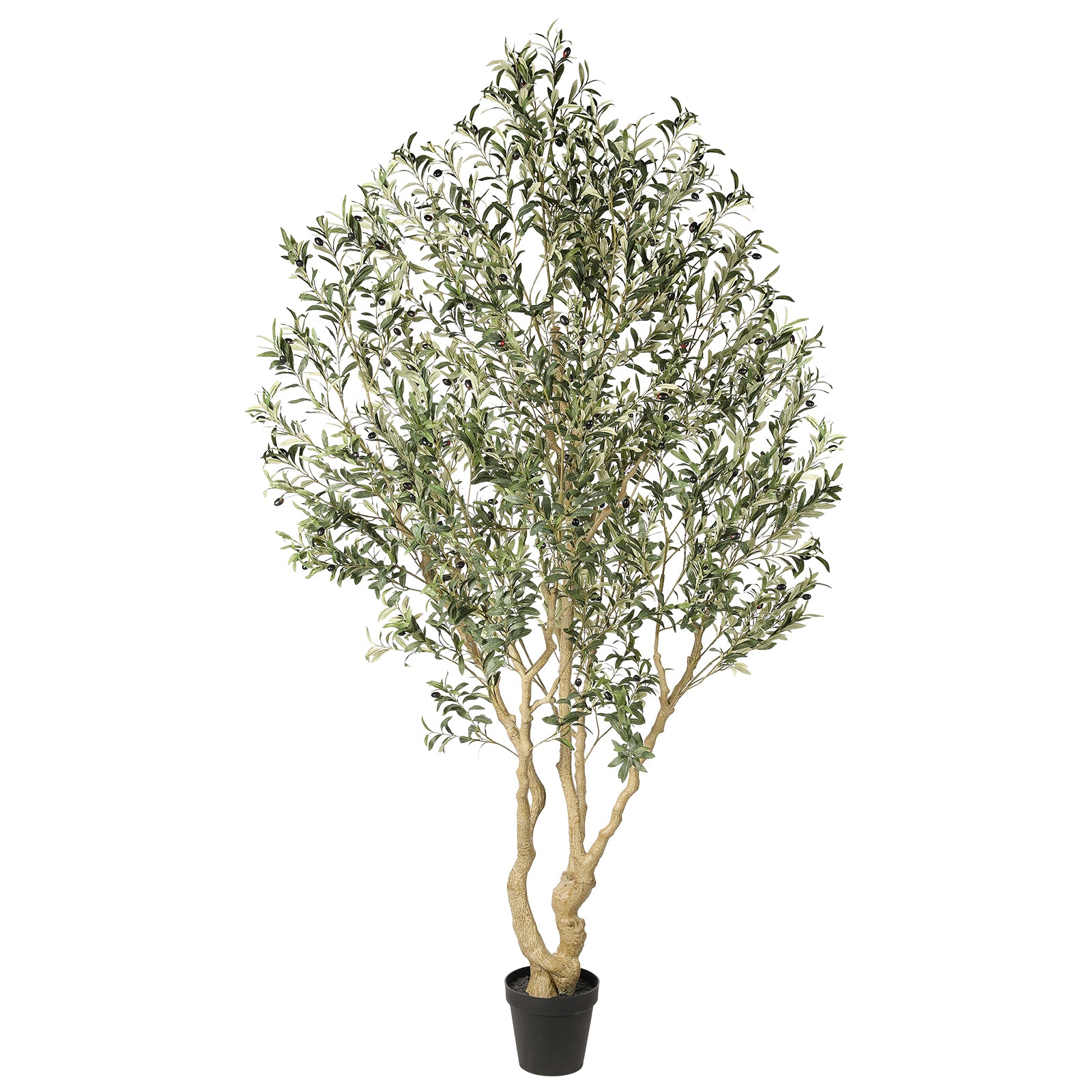 Realead 8’ Large Olive Tree