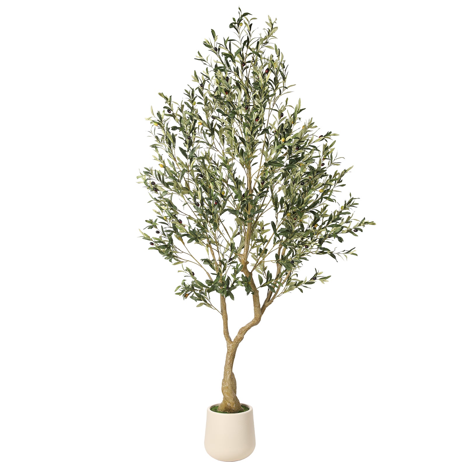 realead 7ft olive tree with planter