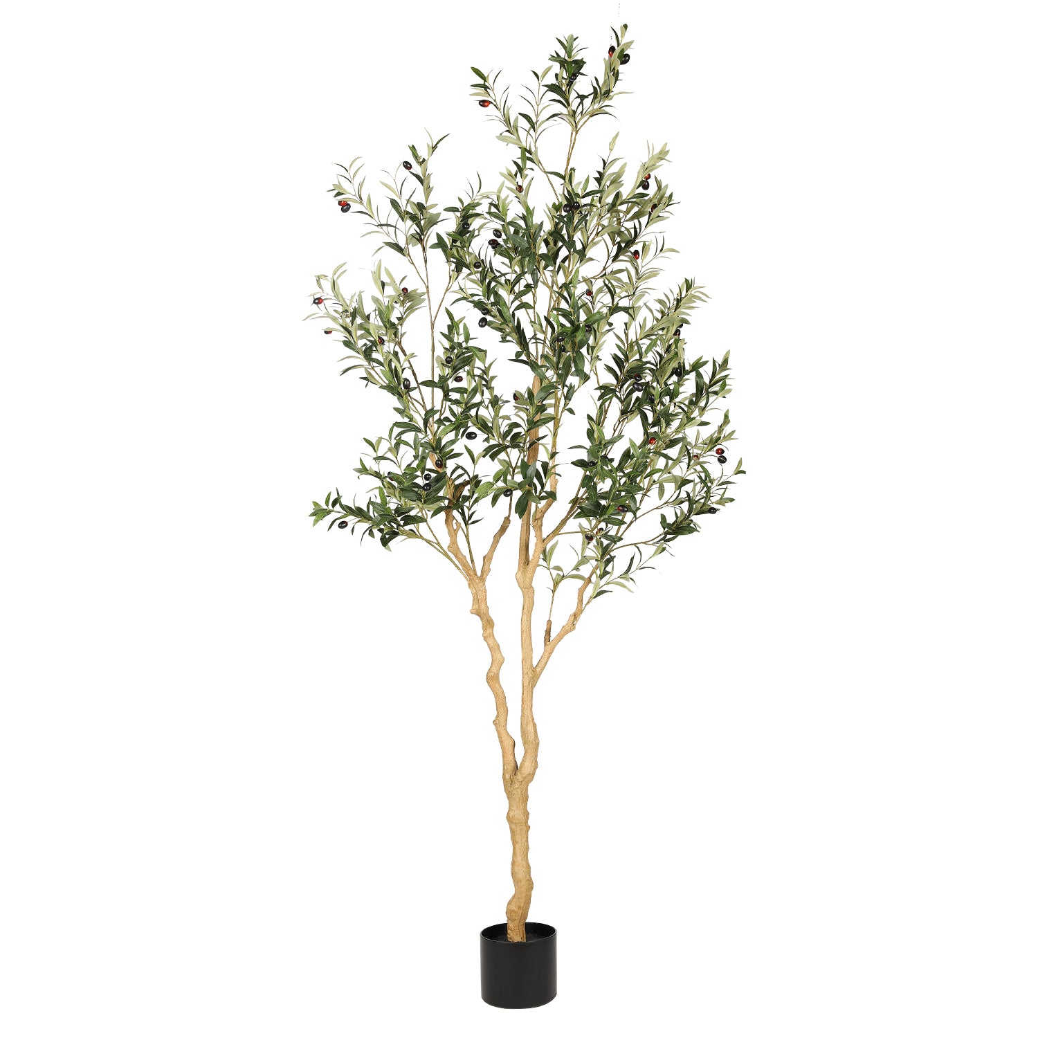 7ft olive tree branch