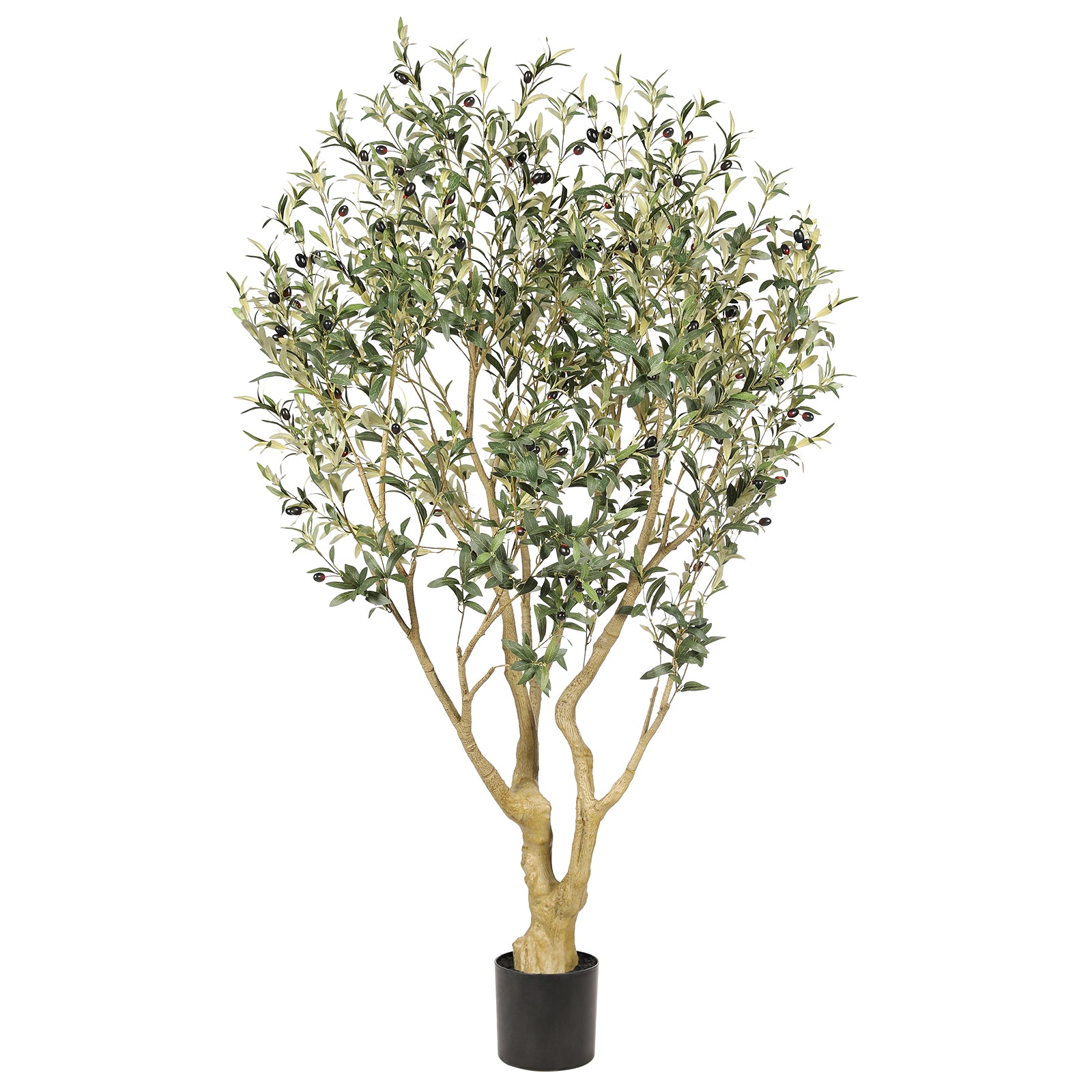 realead 6ft lush olive tree