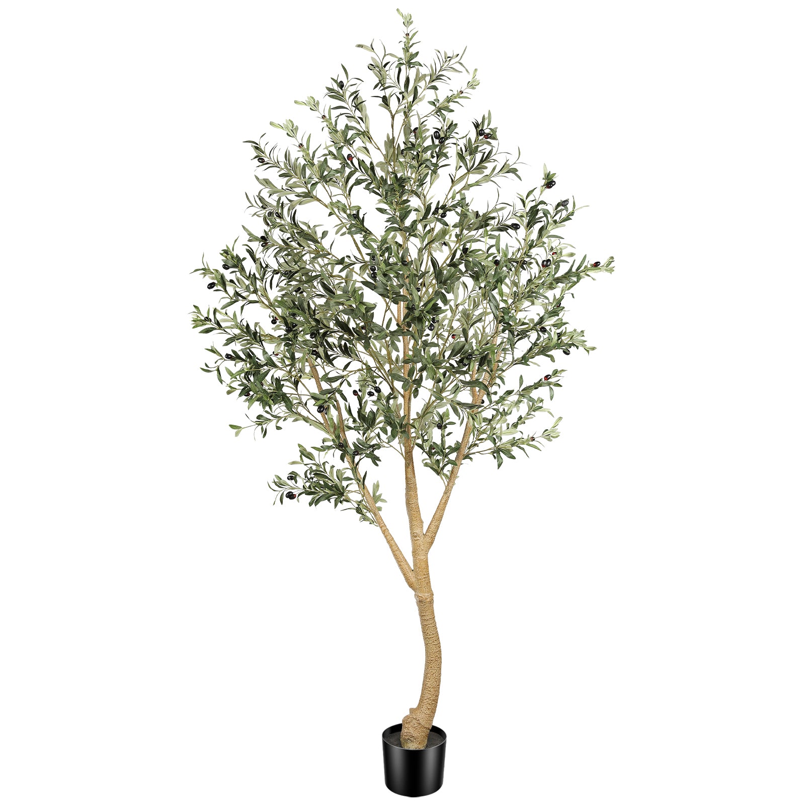 Realead 8’ Curved Olive Tree