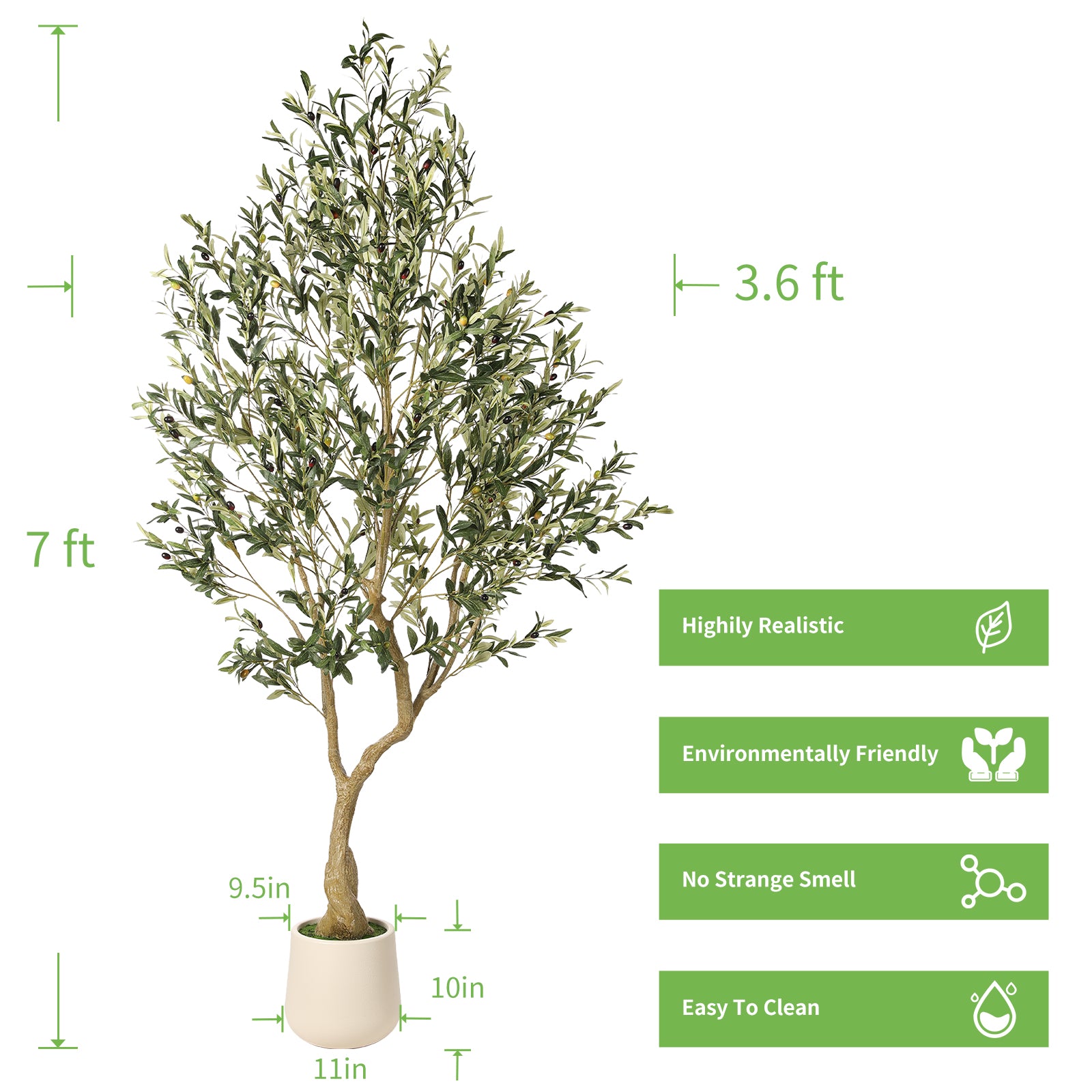 realead olive tree