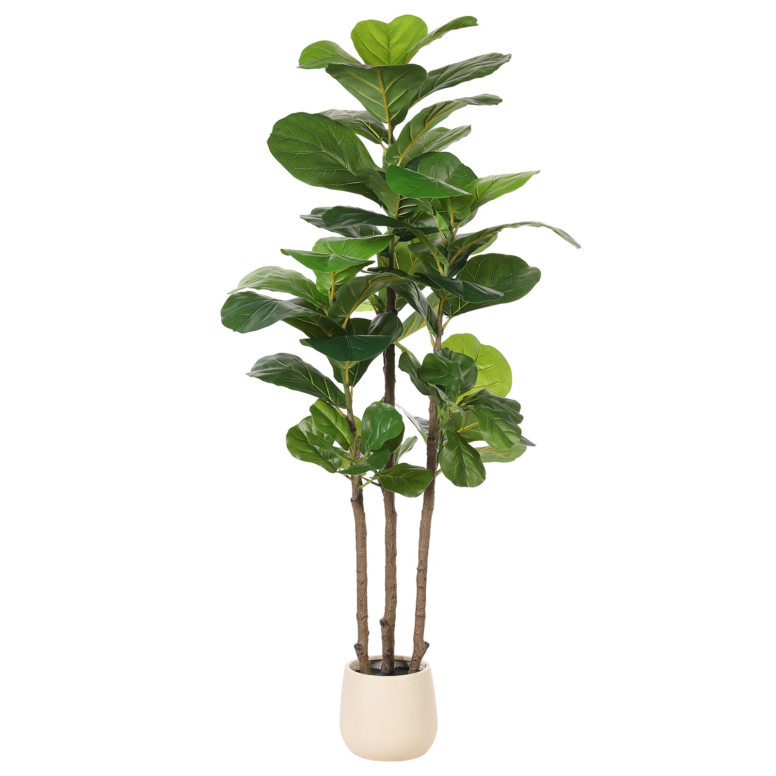 5’Fiddle Leaf Fig Tree with Planter