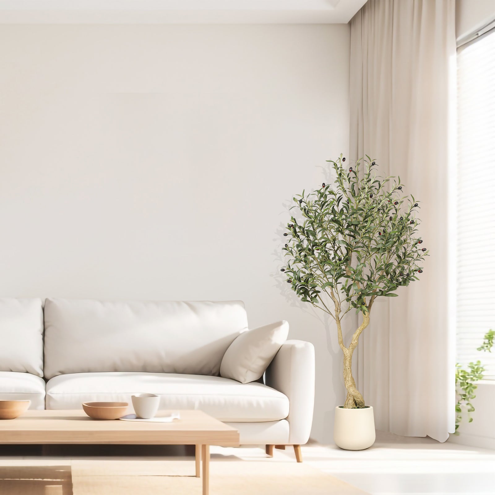 5_Olive_Tree_with_Planter