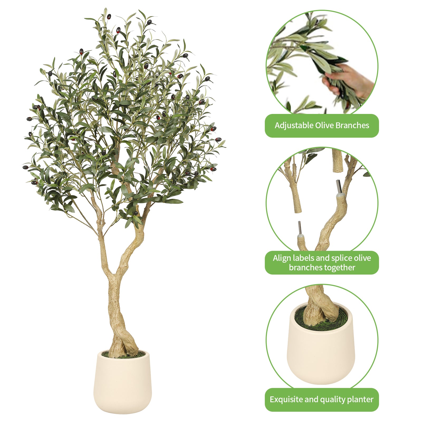 5_Olive_Tree_with_Planter