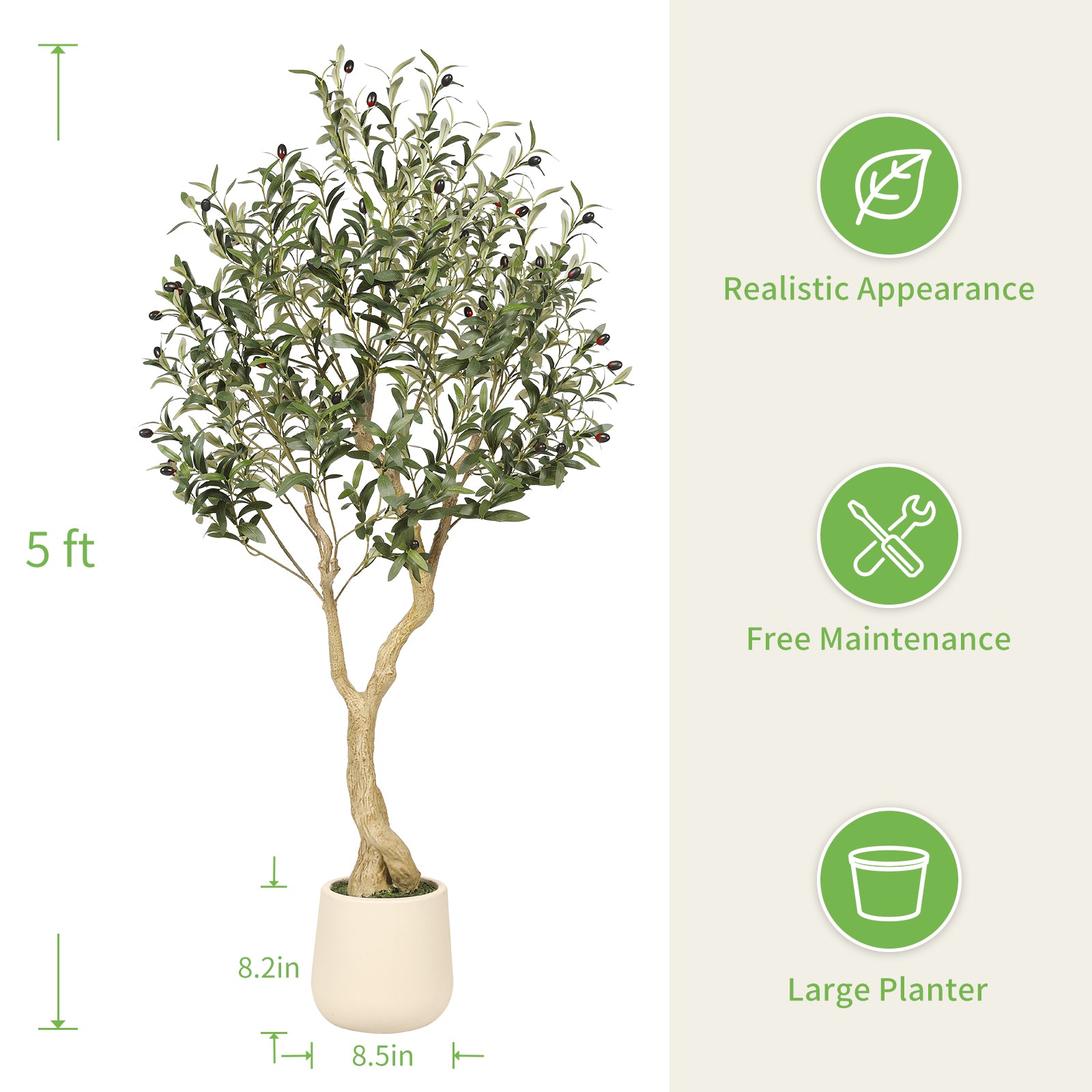 5_Olive_Tree_with_Planter