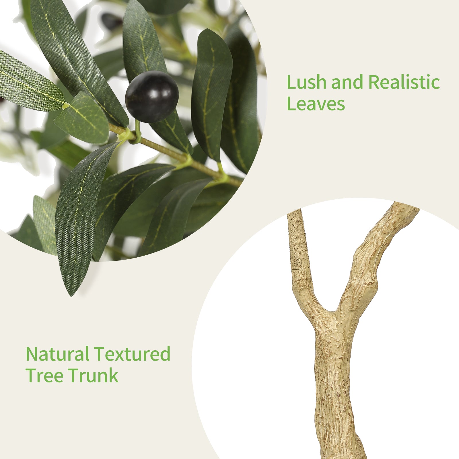 5_Olive_Tree_with_Planter