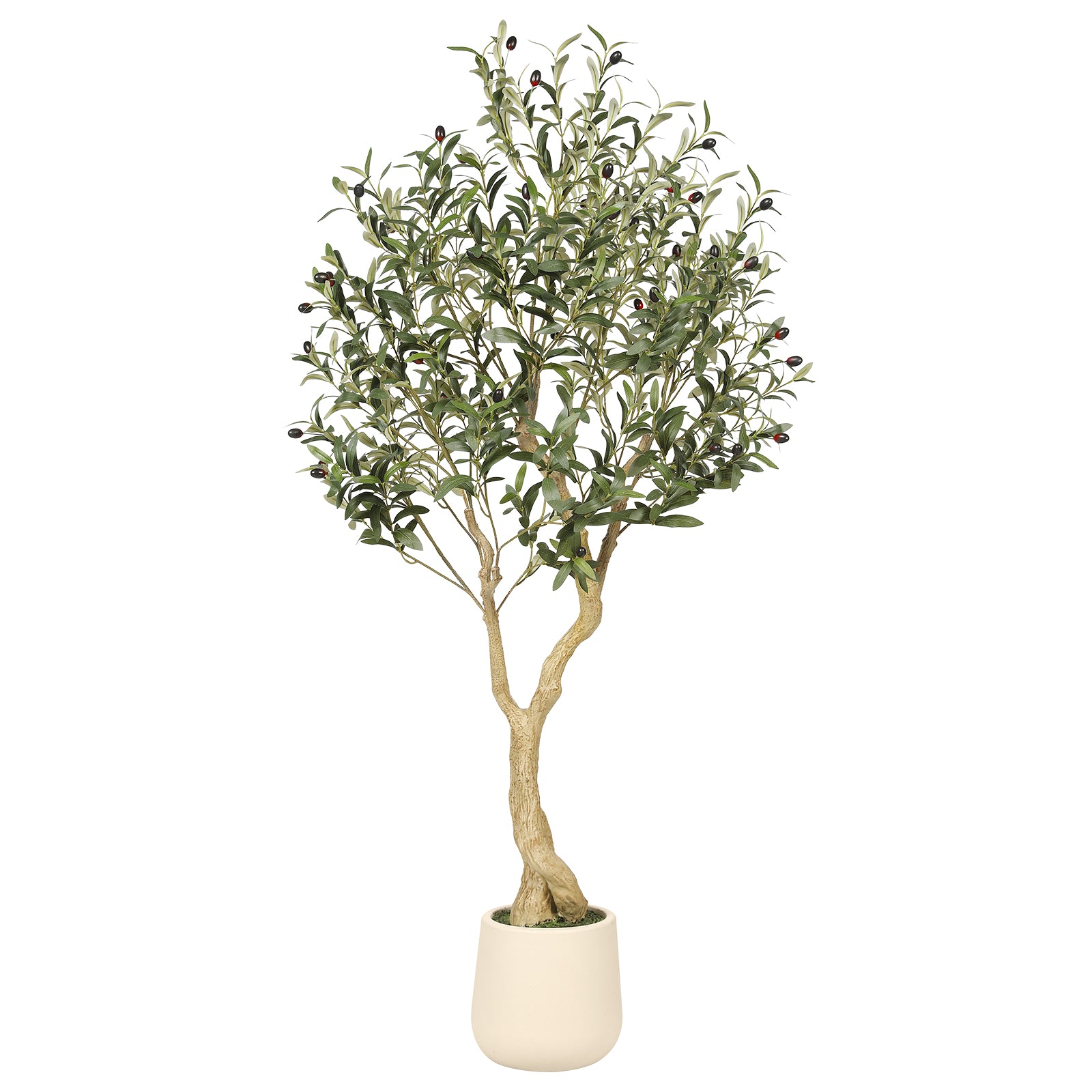 5_Olive_Tree_with_Planter