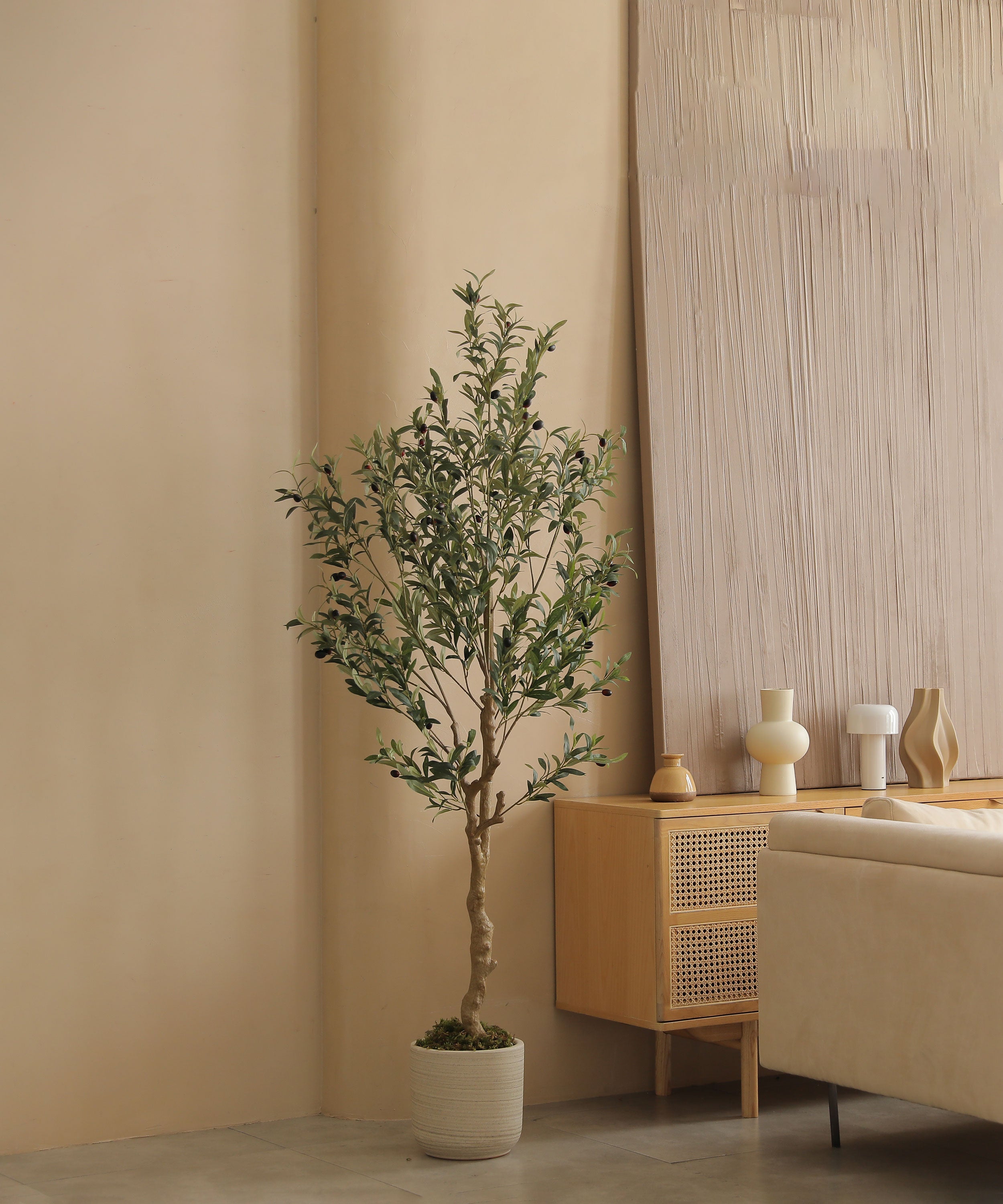 6ft olive tree branch