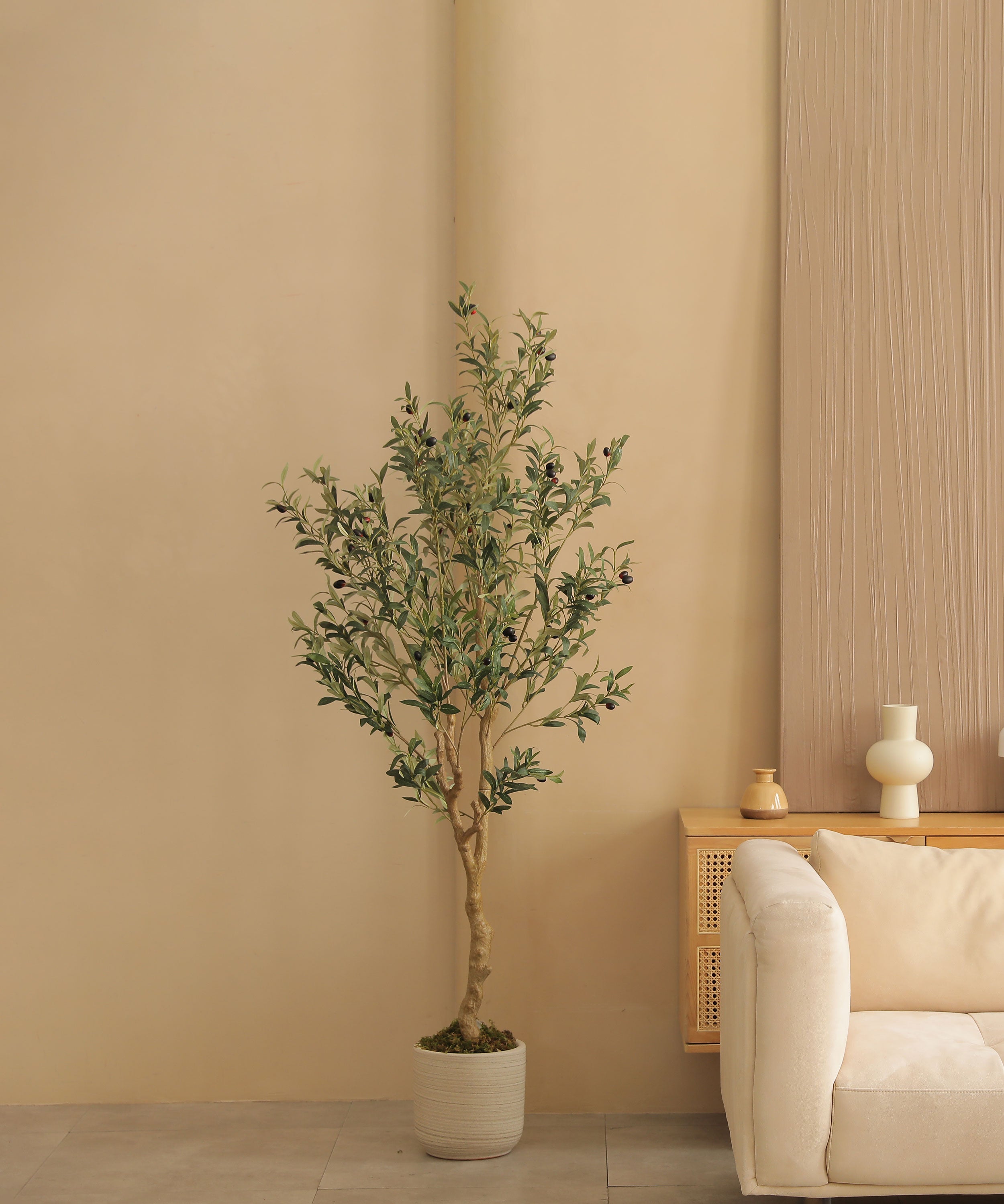 6ft olive tree branch