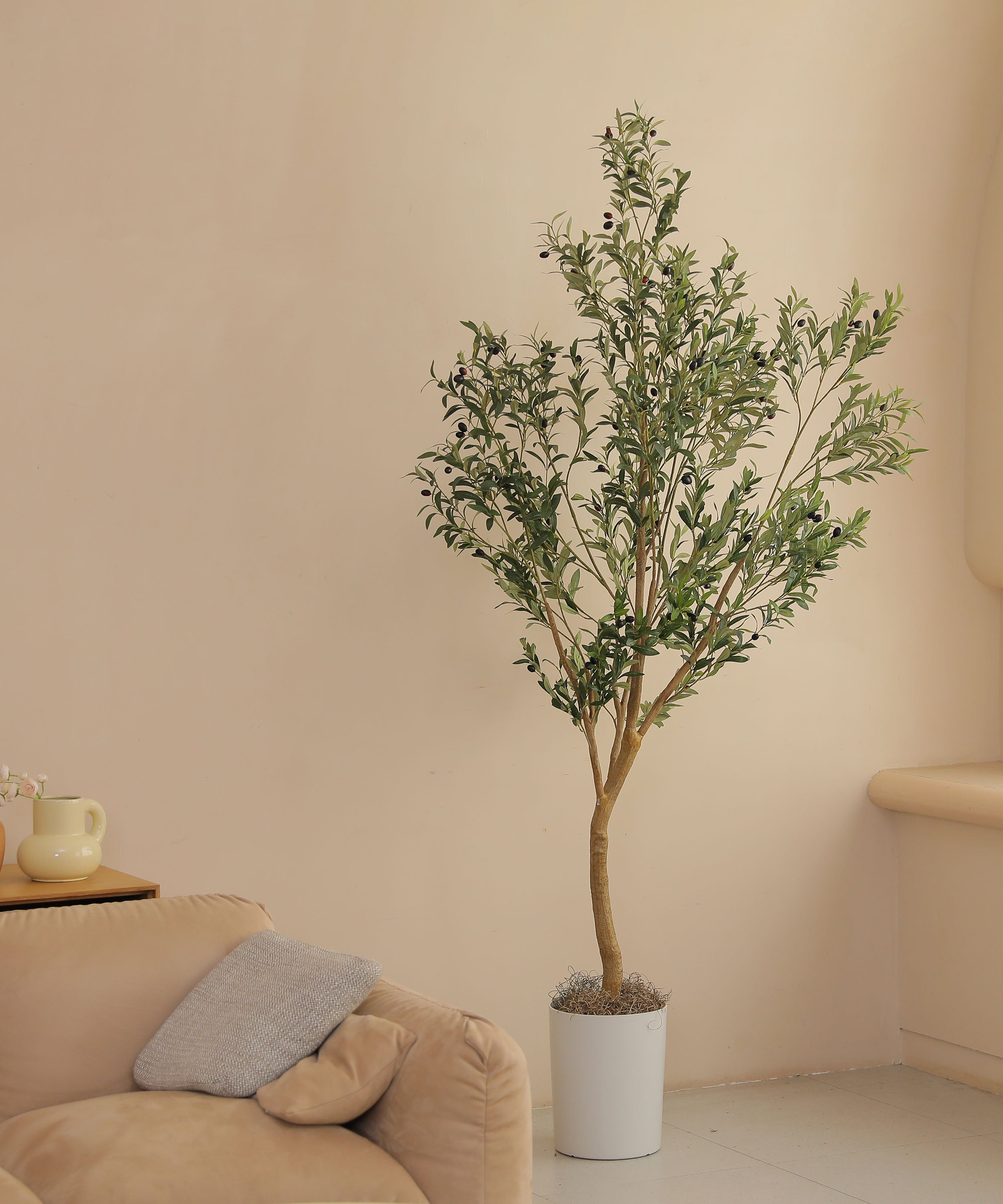 8ft olive tree branch