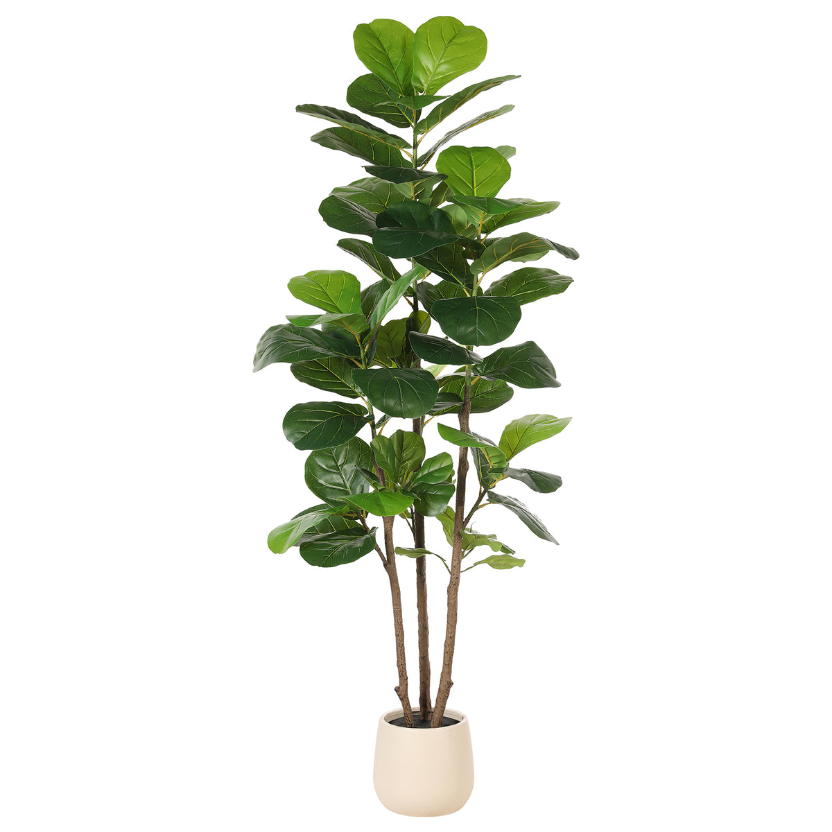 fiddle leaf fig tree canada 6'Fiddle Leaf Fig Tree with Planter – REALEAD