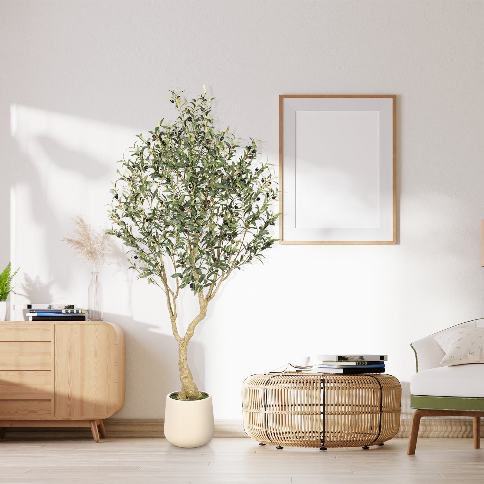 6’ Olive Tree with Planter