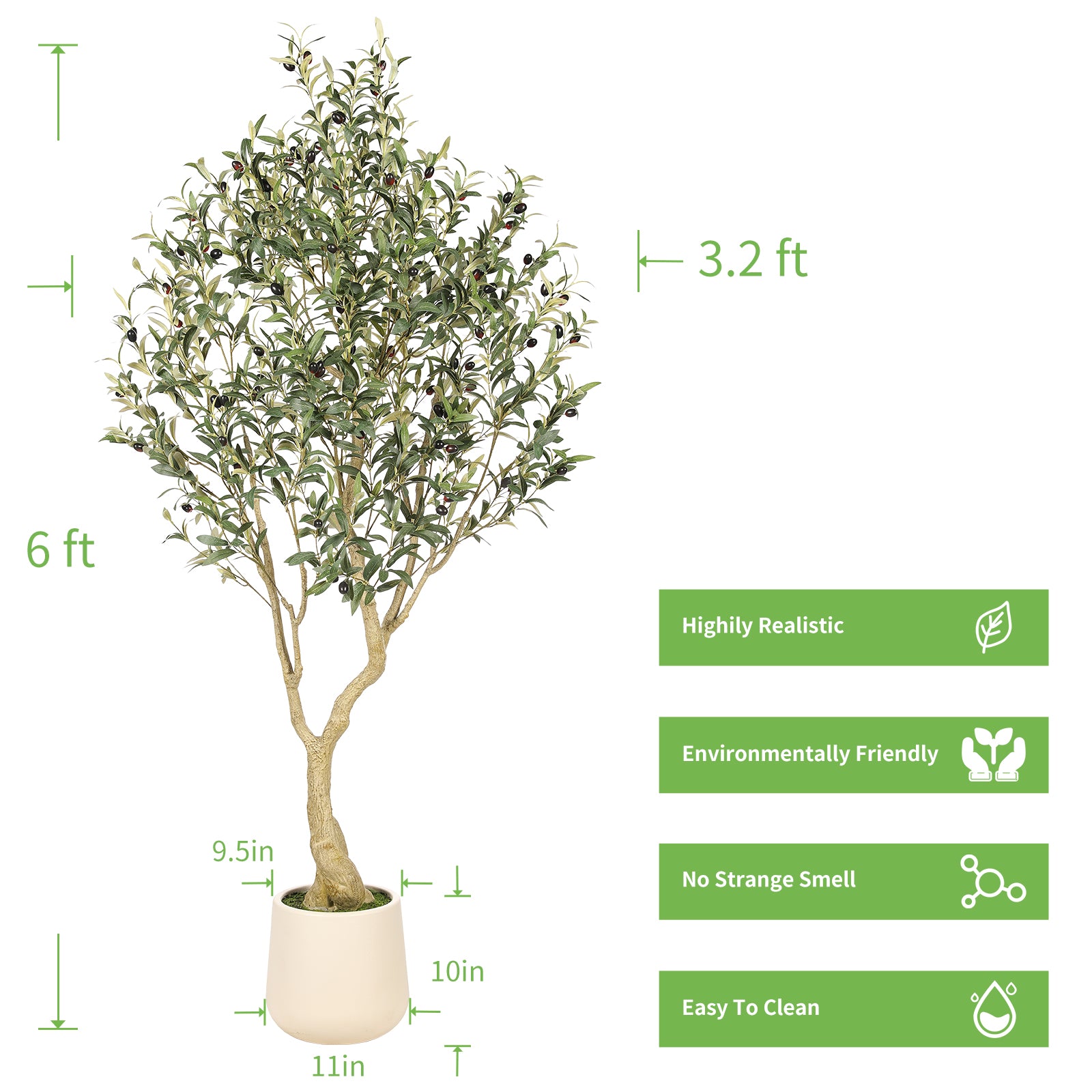 6’ Olive Tree with Planter