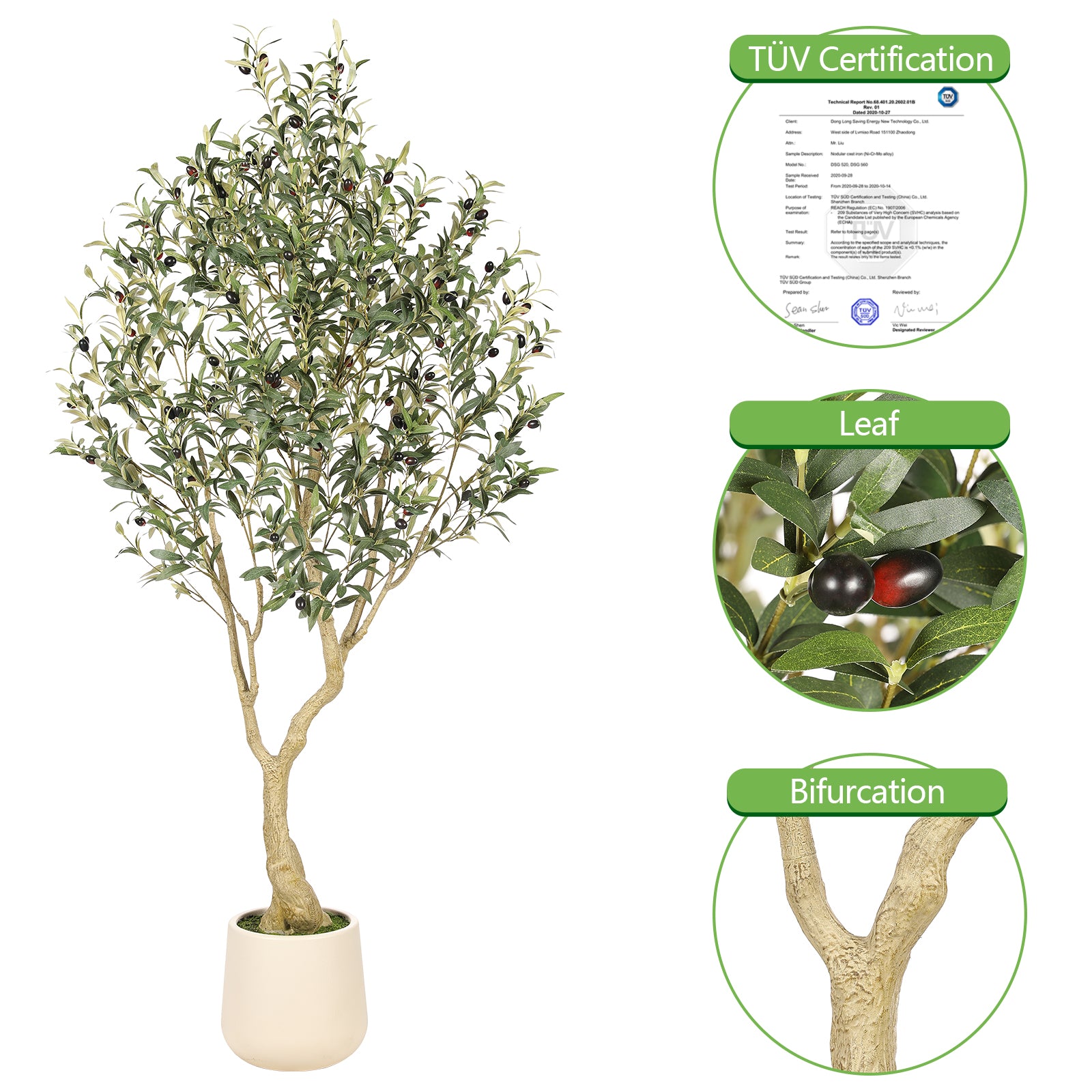 6’ Olive Tree with Planter