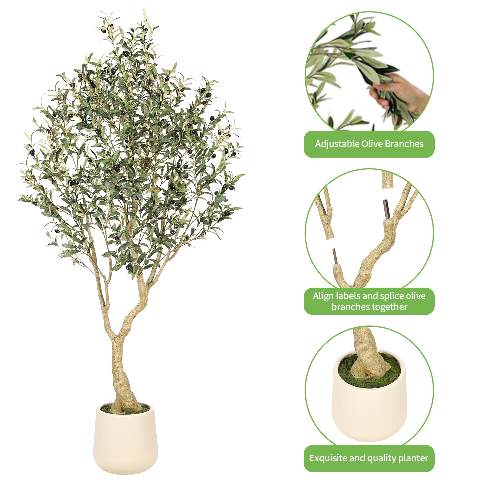 6’ Olive Tree with Planter