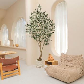 Realead Large Olive Tree