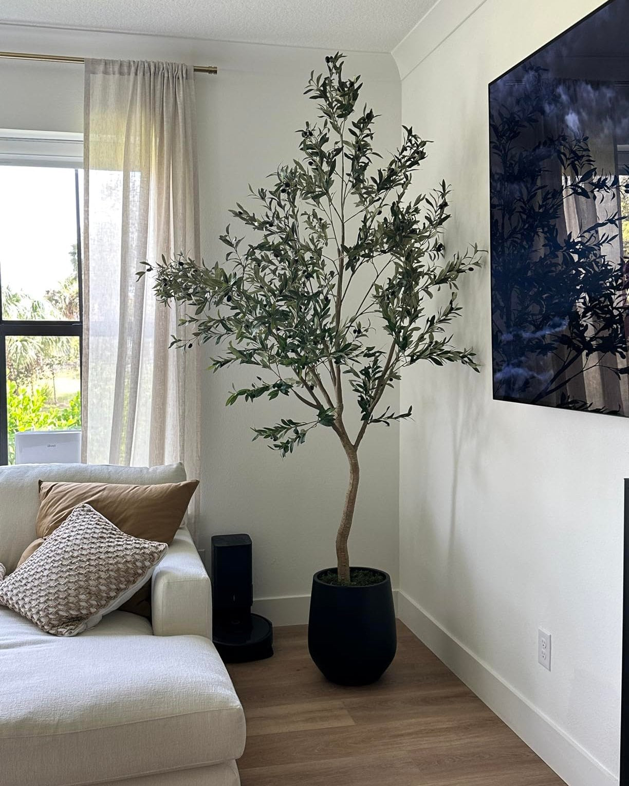 realead 8ft olive tree