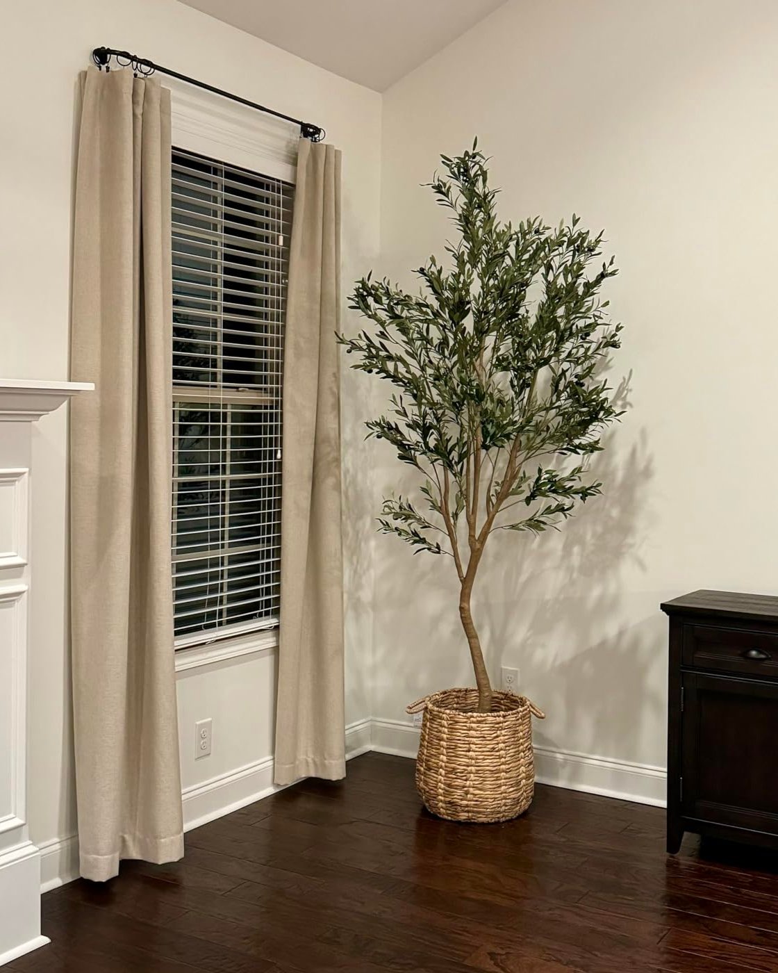 realead 8ft olive tree