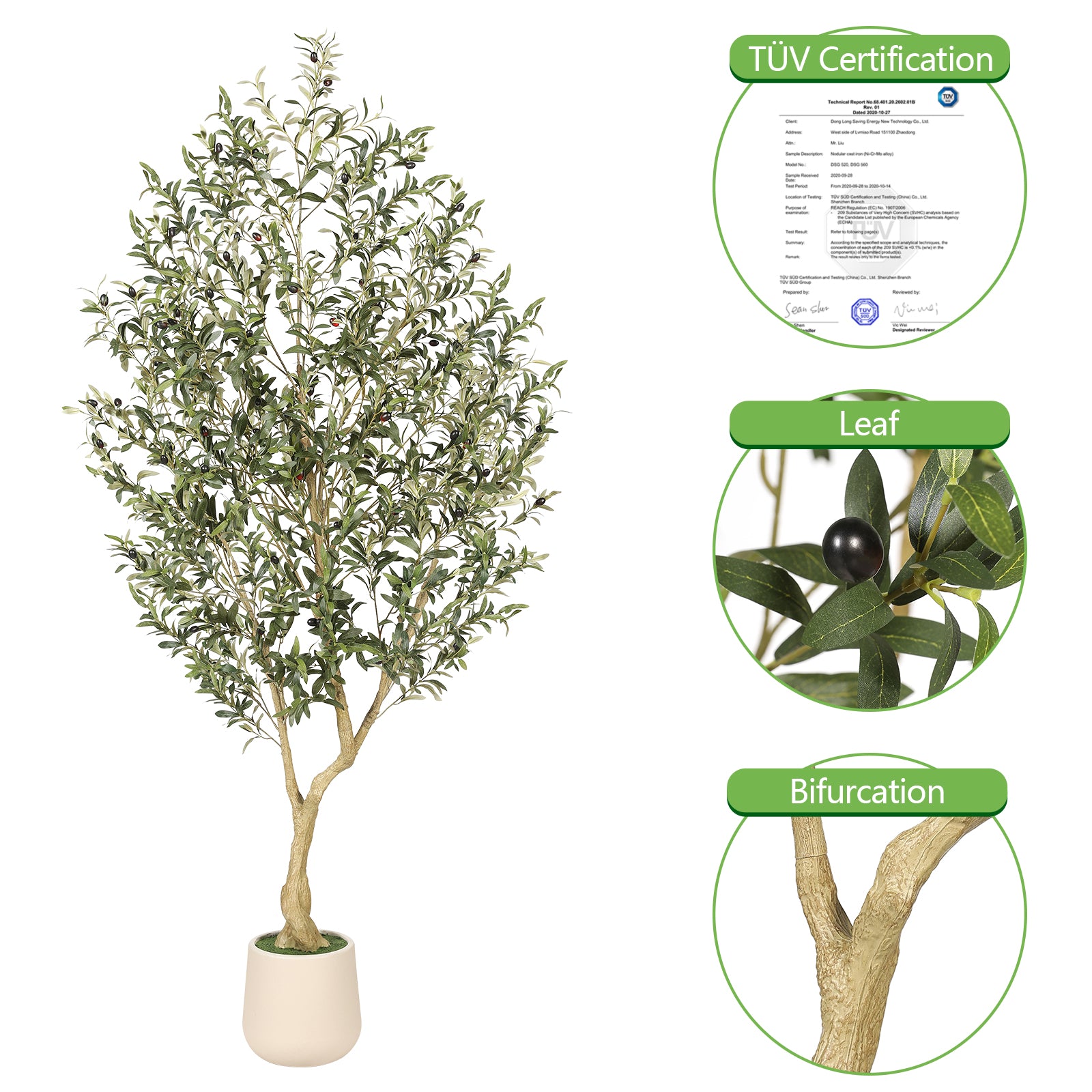 7_Olive_Tree_with_Planter