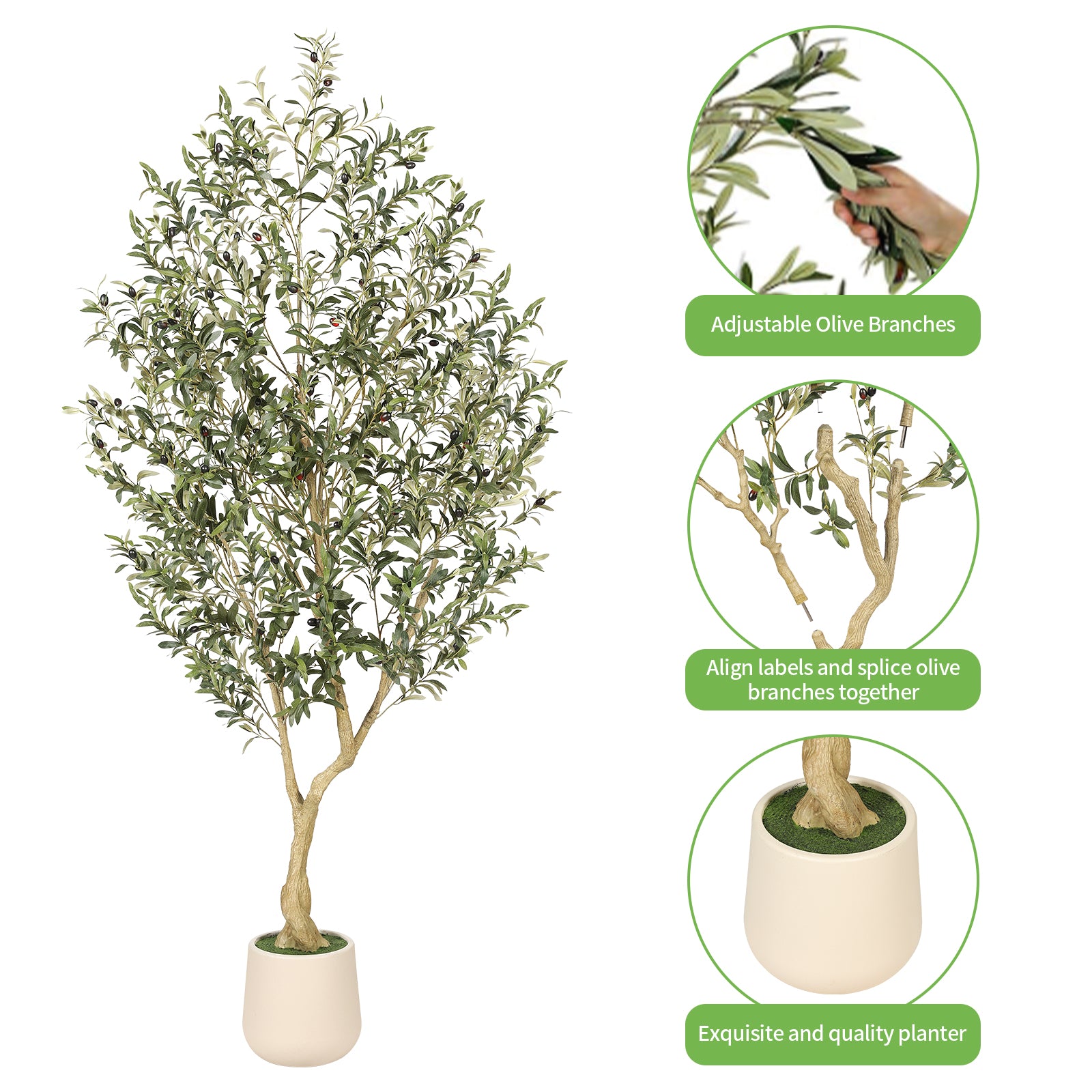 7_Olive_Tree_with_Planter