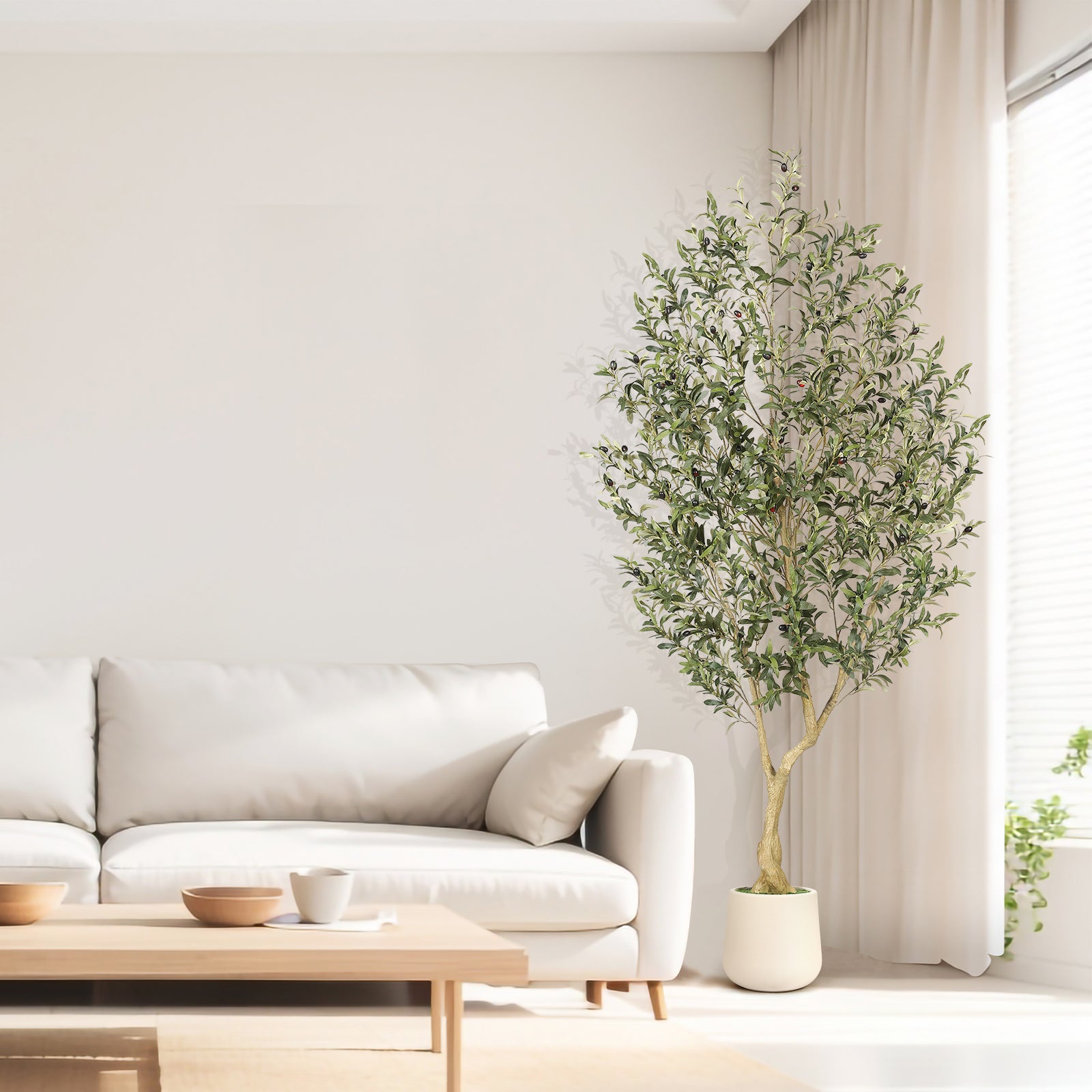 7_Olive_Tree_with_Planter
