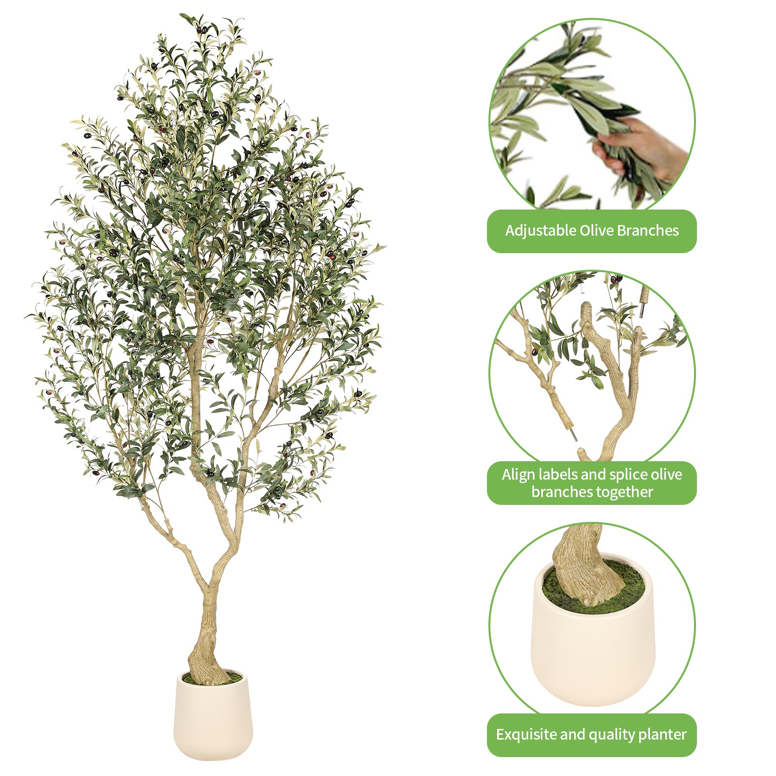 8’ Olive Tree with Planter