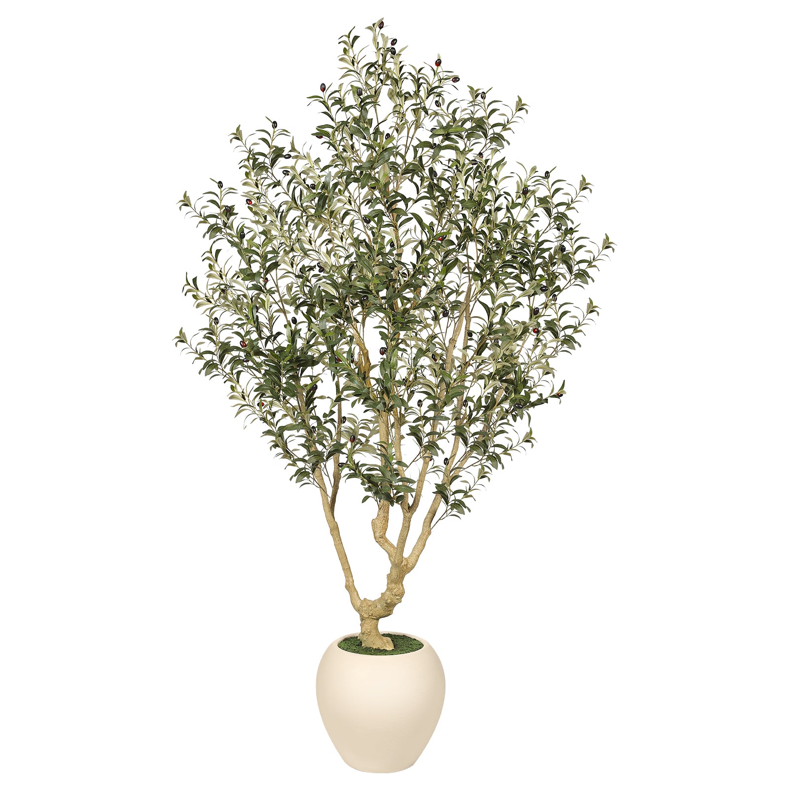 Realead 7’ Large Olive Tree with Tall Planter
